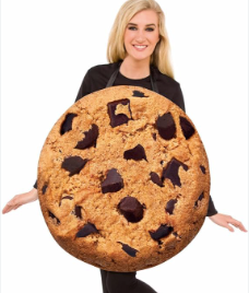 Cookie Costume