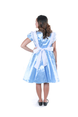 Alice In Wonderland Costume