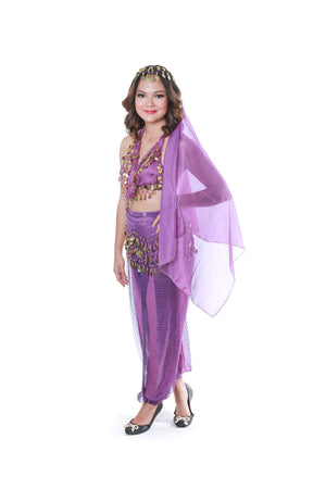 Purple Belly Dancer Costume