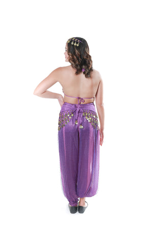 Purple Belly Dancer Costume