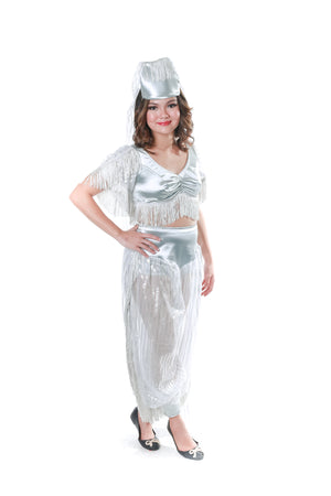 Silver Belly Dancer Costume