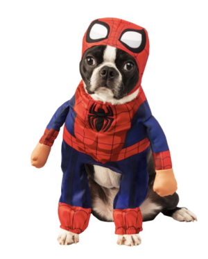 Walking Spiderman Pet Costume